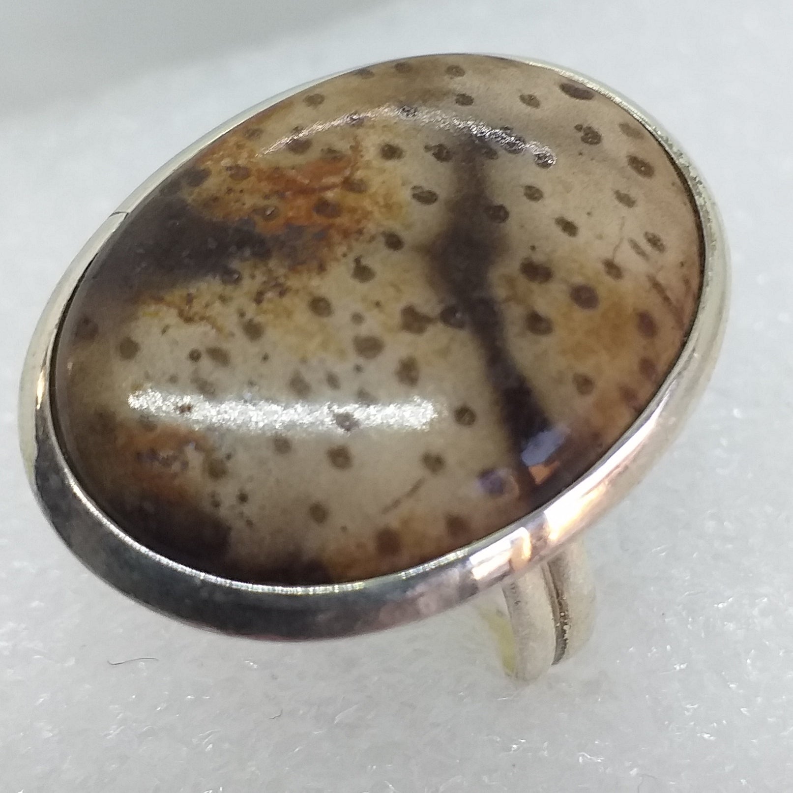 VERSTEINERTES HOLZ PALMHOLZ Ring Gr. 19 925 Sterling Silber