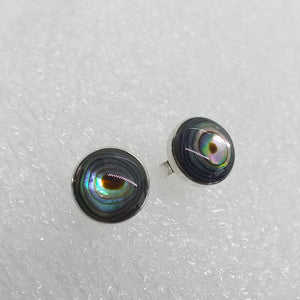 ABALONE PAUA SCHNECKE Ohrringe Ohrstecker 925 Sterling Silber