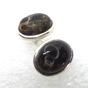 TURITELLAACHAT Fossil Ohrringe 925 Silber Schneckenachat (Kopie)