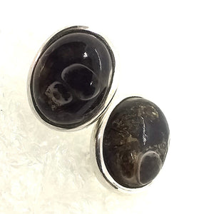 TURITELLAACHAT Fossil Ohrringe 925 Silber Schneckenachat (Kopie)