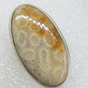 Koralle Petoskey FOSSILKORALLE Ring Gr. 17 925 Sterling Silber 33 mm