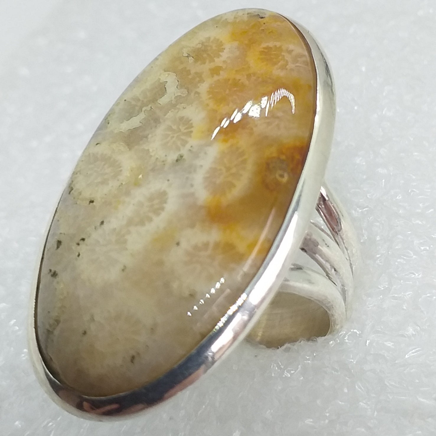 Koralle Petoskey FOSSILKORALLE Ring Gr. 17 925 Sterling Silber 33 mm