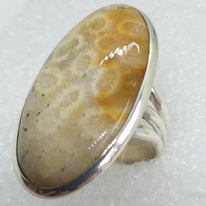 Koralle Petoskey FOSSILKORALLE Ring Gr. 17 925 Sterling Silber 33 mm