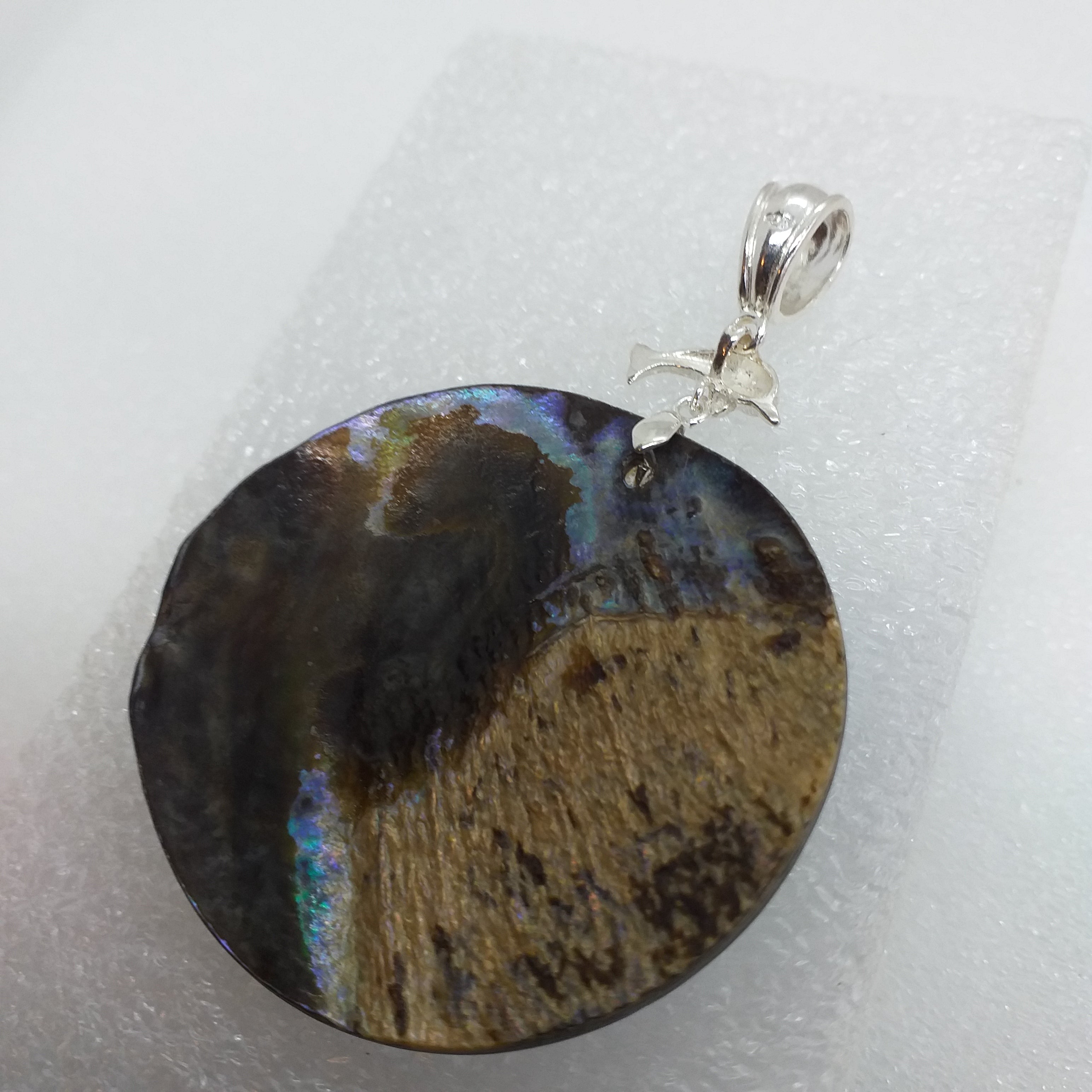 ABALONE PAUA SCHNECKE Anhänger 925 Sterling Silber Delfin
