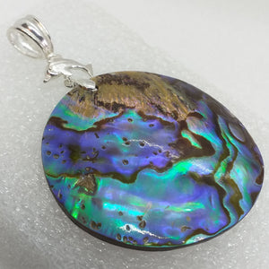 ABALONE PAUA SCHNECKE Anhänger 925 Sterling Silber Delfin