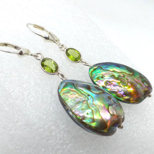 ABALONE PAUA SCHNECKE Peridot Ohrringe Ohrhänger 925 Sterling Silber Klappbrisur