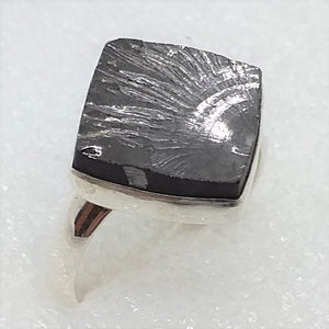 EDEL SCHUNGIT Ring Gr. 20 925 Silber