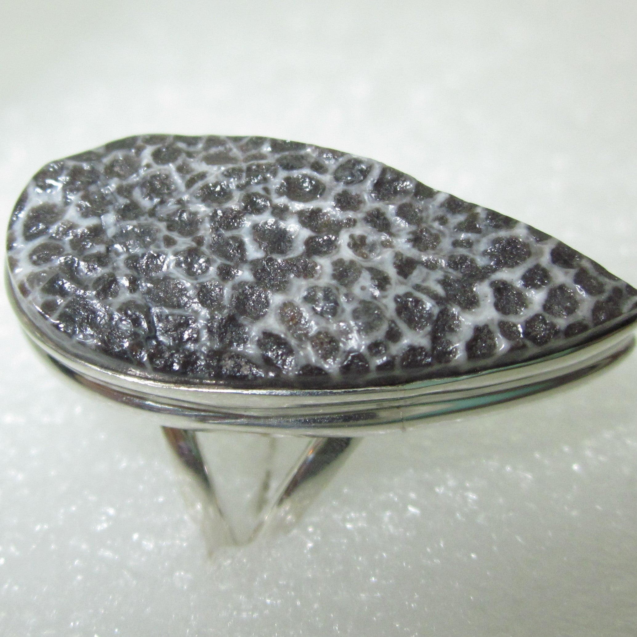 SCHWARZE FOSSILKORALLE Ring Gr. 19,5 925 Sterling Silber Rohstein