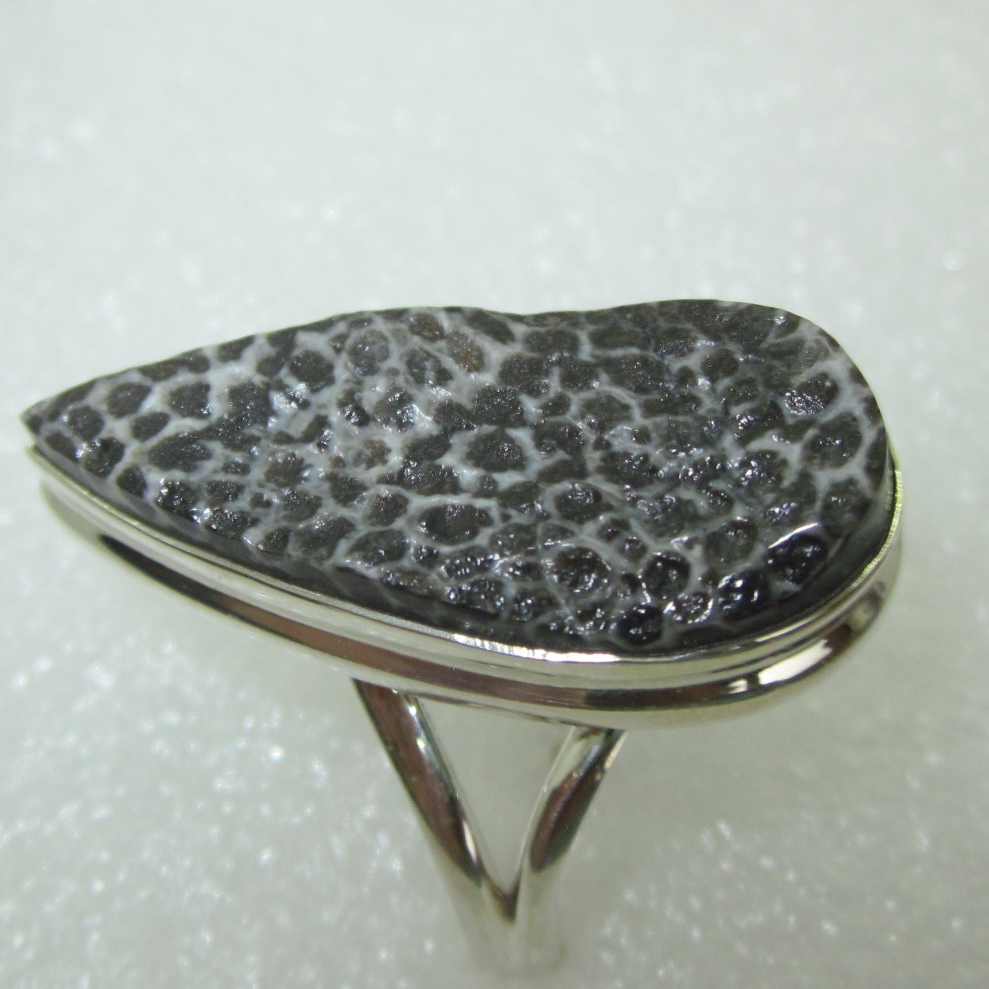 SCHWARZE FOSSILKORALLE Ring Gr. 19,5 925 Sterling Silber Rohstein